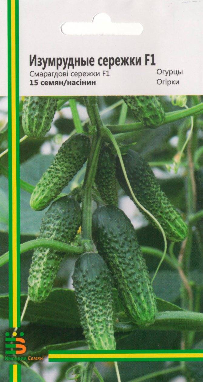 Огурец изумрудные сережки (f1): отзывы, описание, характеристики, выращивание