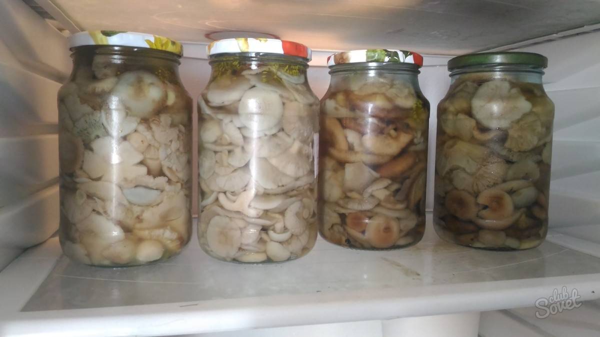 Грузди маринованные на зиму - рецепты приготовления грибов