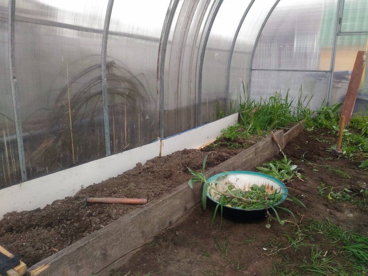 Чем обработать землю в теплице: под томаты, помидоры, весной, почвы, перед посадкой