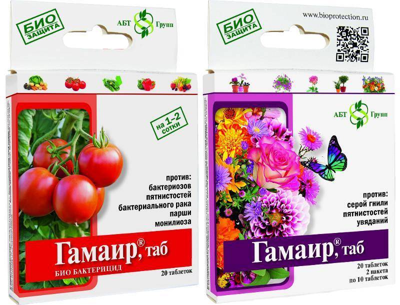Фунгициды для растений [список препаратов, правила применения]