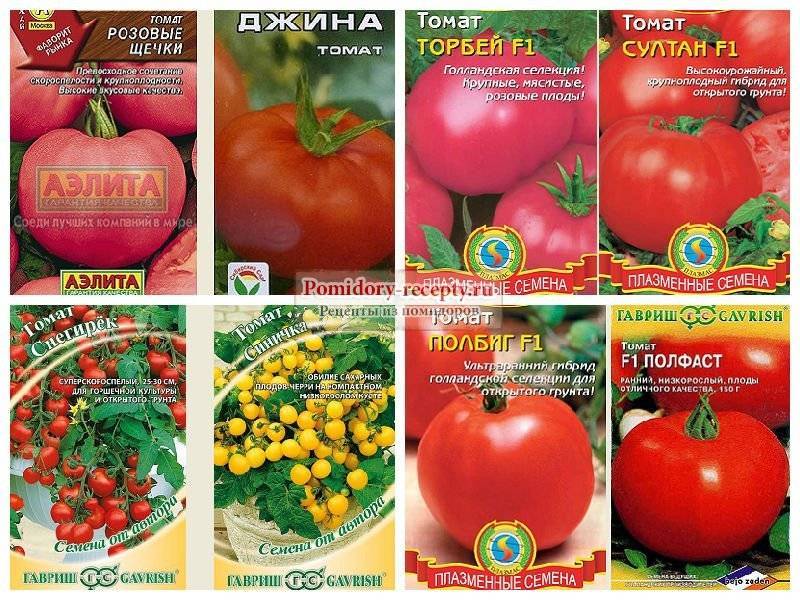 Описание томата максимка и рекомендации по выращиванию растения