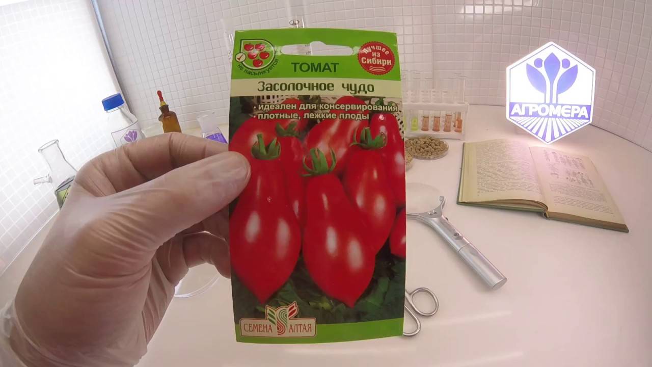 Сорта томатов для консервирования и засолки : выбор и описание