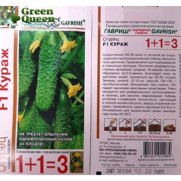 Описание сорта огурцов кураж f1 с фото: характеристика овощей, технология правильной посадки семян, выращивание и уход за посевом в открытом грунте