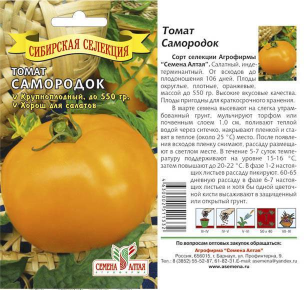 Описание сорта томата пето 86, преимущества и агротехника выращивания