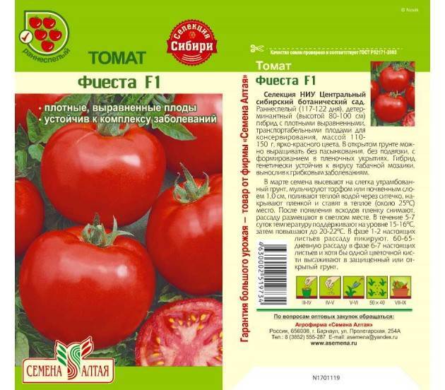 Помидоры полюбившиеся дачникам — томат дар заволжья: описание и характеристики сорта