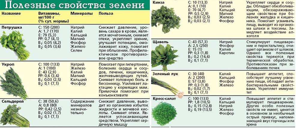 Кмн — кориандр посевной, инструкция по применению, что лечит, кому назначают, как принимать, сколько и когда принимать, противопоказания, побочные действия, вред и польза
