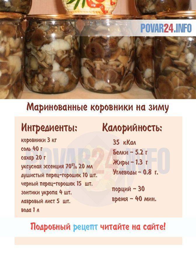 Как в домашних условиях мариновать грибы коровники на зиму, рецепты приготовления из свинушек