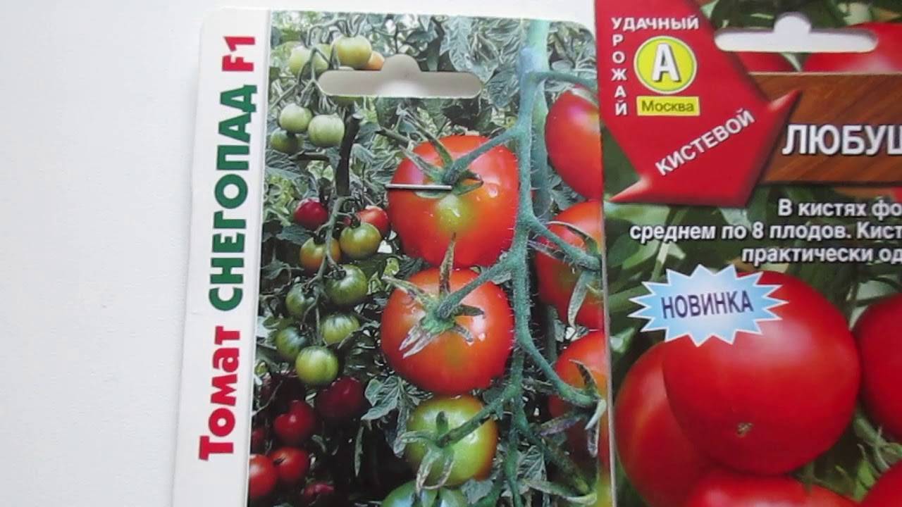 Кистевые томаты для теплиц и открытого грунта - 10 сортов кистевых, лучшие помидоры