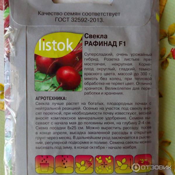 Самые лучшие и сладкие сорта свеклы: топ-20, их описания и фото