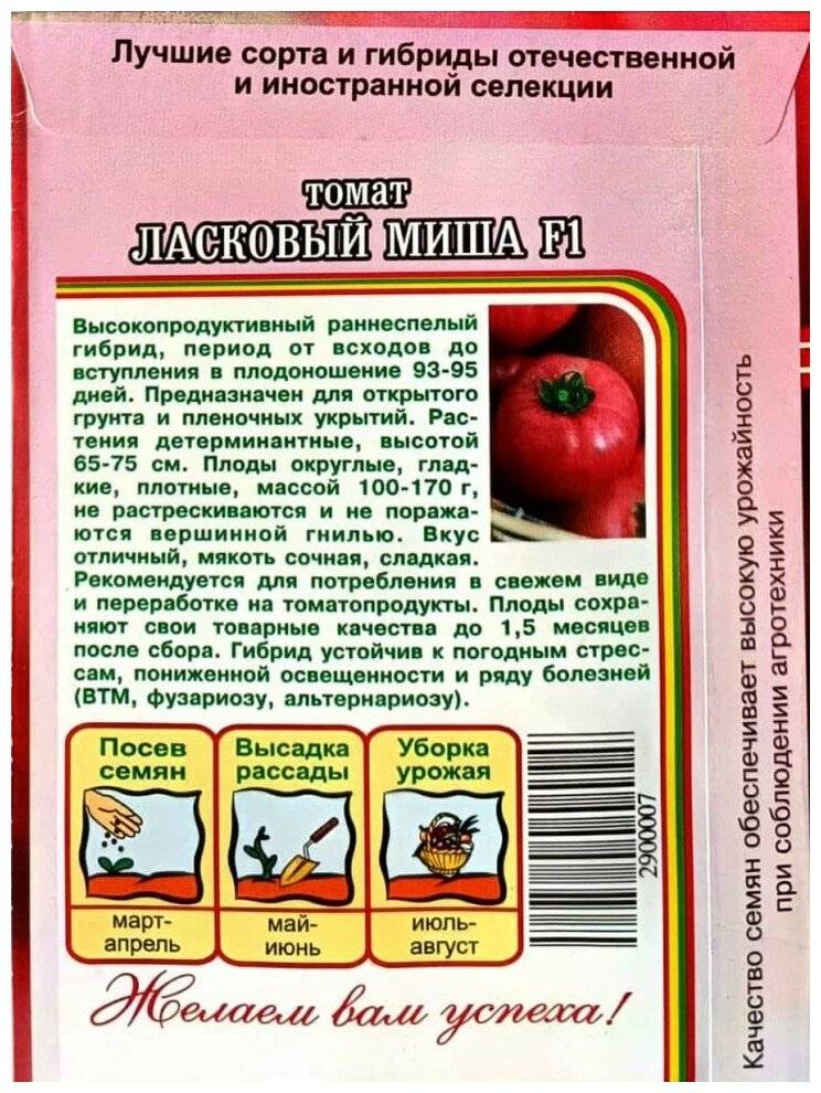 Лучшие сорта низкорослых помидоров: описания и фото