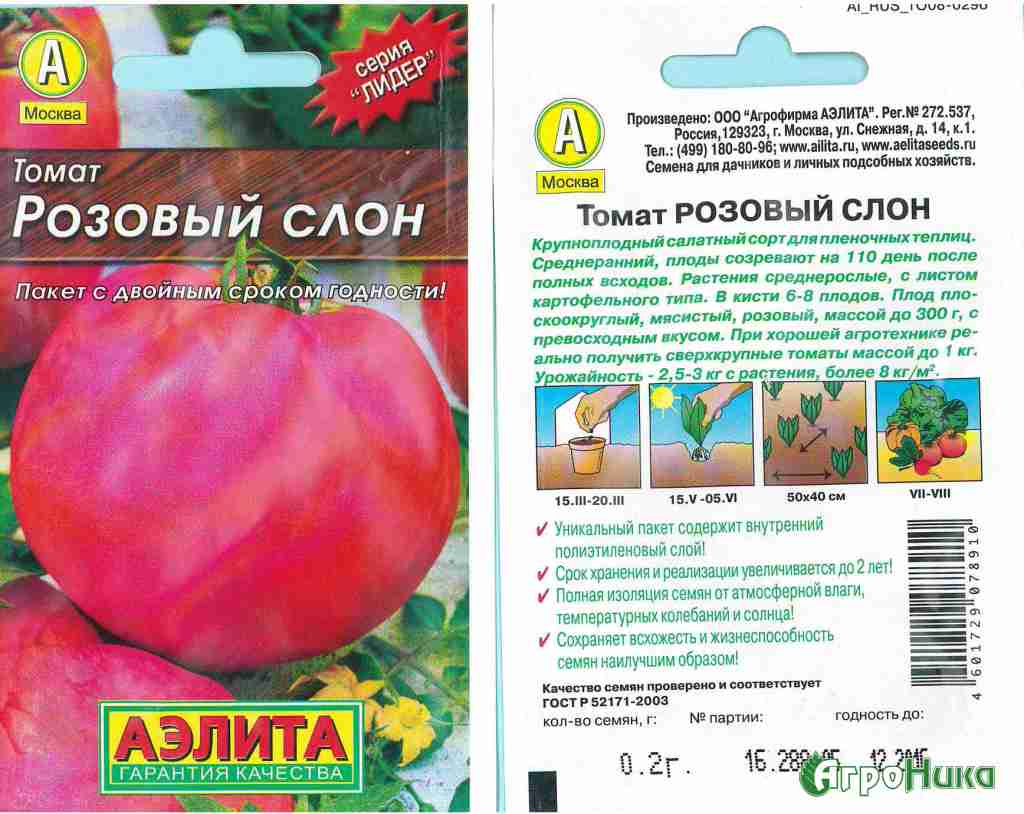Cорт с великолепной урожайностью — томат циндао: описание помидоров и характеристики