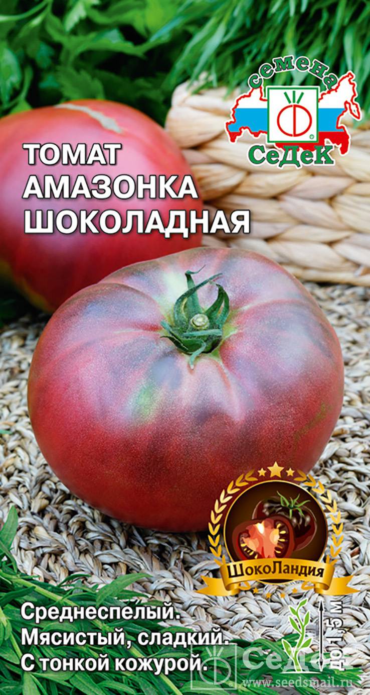 Описание экзотического сорта томата Шоколадная амазонка и агротехнические правила выращивания