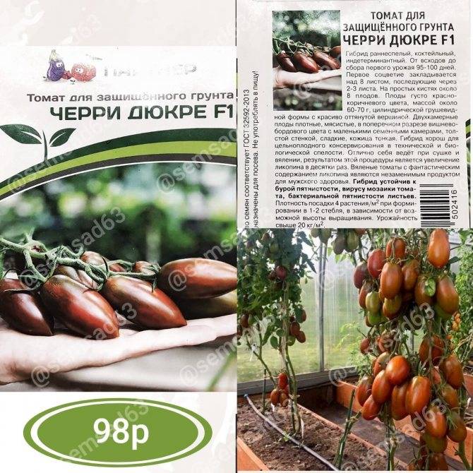 Лучшие сорта томатов черри - топ 15????, характеристика и описание, фото, урожайность, достоинства