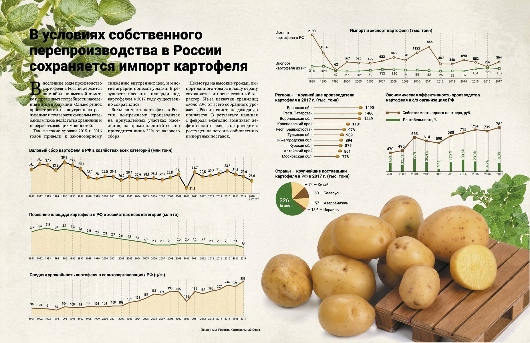 ᐉ как повысить урожайность картофеля на домашнем огороде (даче) - roza-zanoza.ru