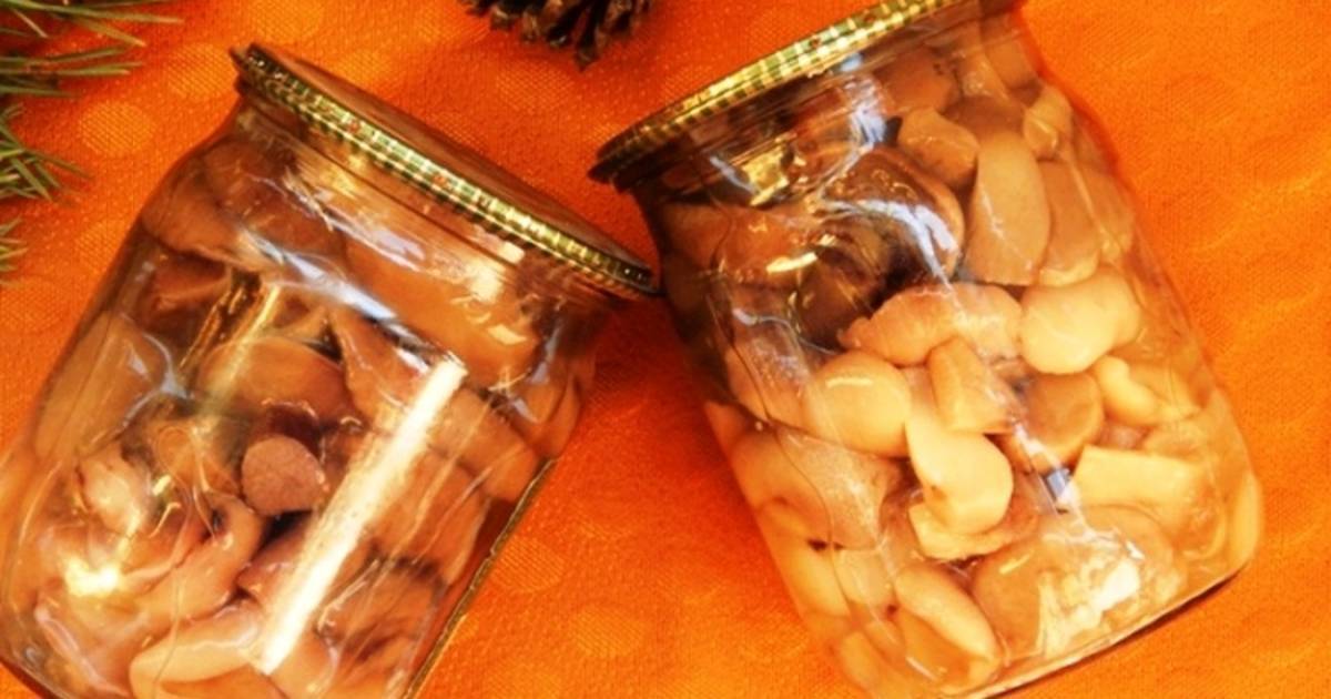 Маслята маринованные на зиму — простые рецепты приготовления