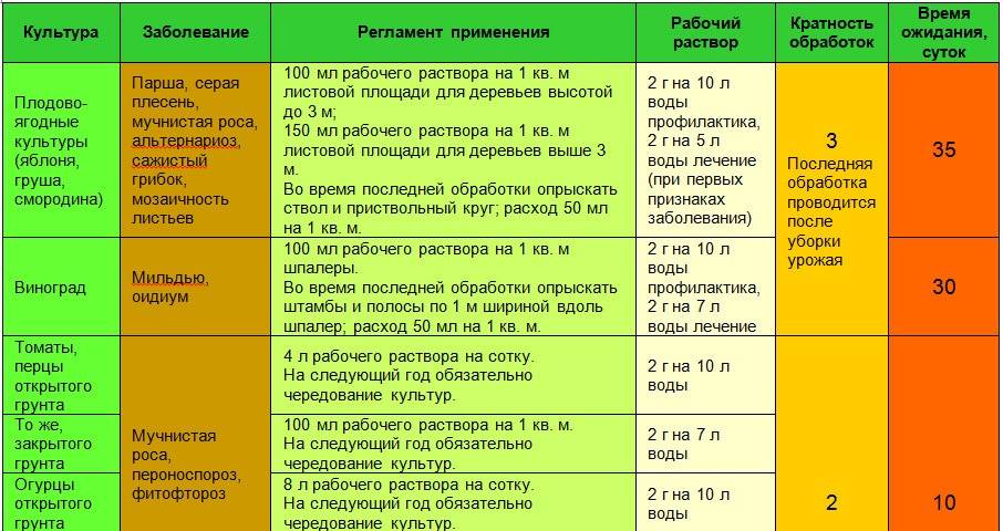 Чем обработать капусту от вредителей: лучшие народные средства