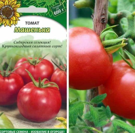 Томат гунин: характеристика и описание сорта, особенности выращивания с фото