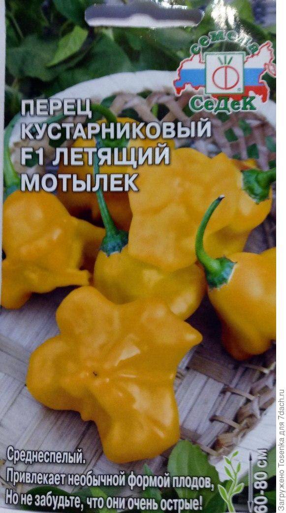 Перец желтый колокол характеристика и описание сорта фото