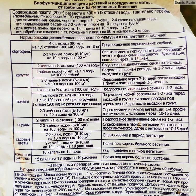 Фитоспорин м: инструкции по применению пасты, порошка и жидкого фитоспорина на томатах, огурце и других культурах. отзывы