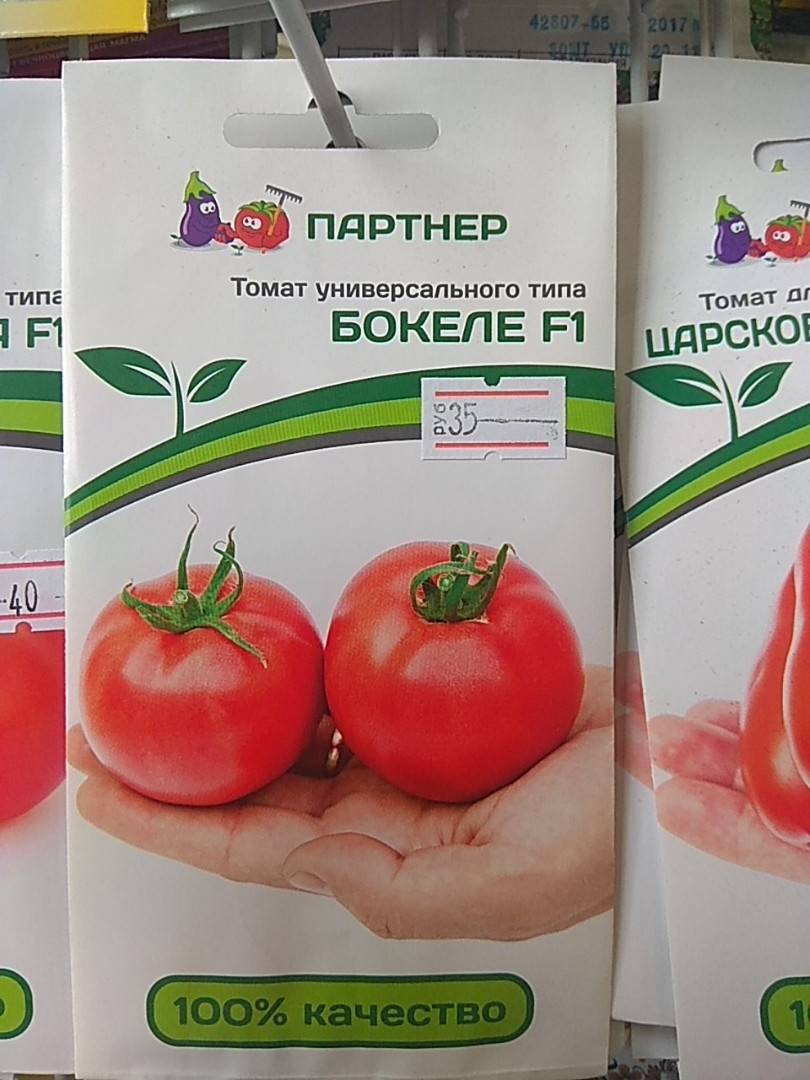 12 сортов томатов, испытанных мною в прошлом году. личный опыт. фото — ботаничка