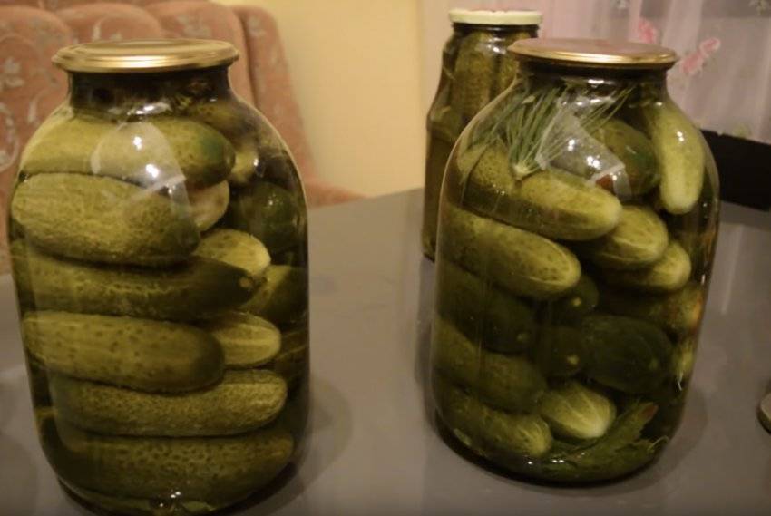 Хрустящие маринованные огурцы на зиму в банках - 10 самых вкусных рецептов, пальчики оближешь