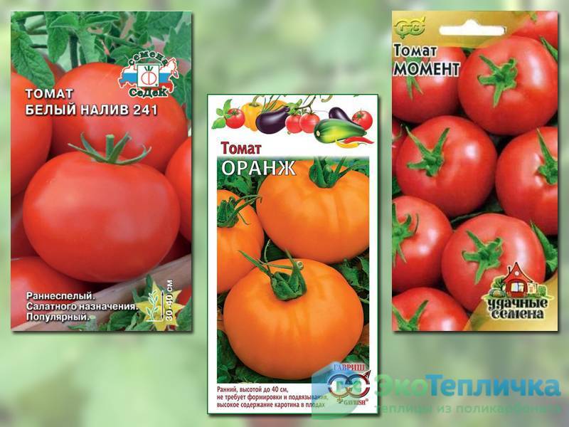 Виды и преимущества низкорослых томатов. лучшие сорта на 2023 год.