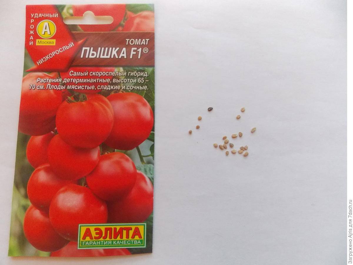 Аэлита томат пышка f1