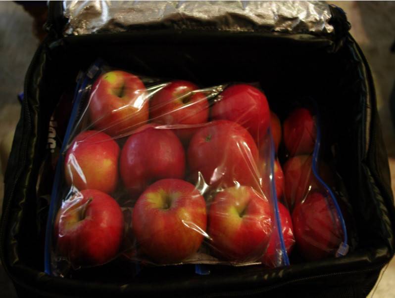 Как сохранить яблоки до весны или даже до следующего урожая свежими – лучшие способы хранения