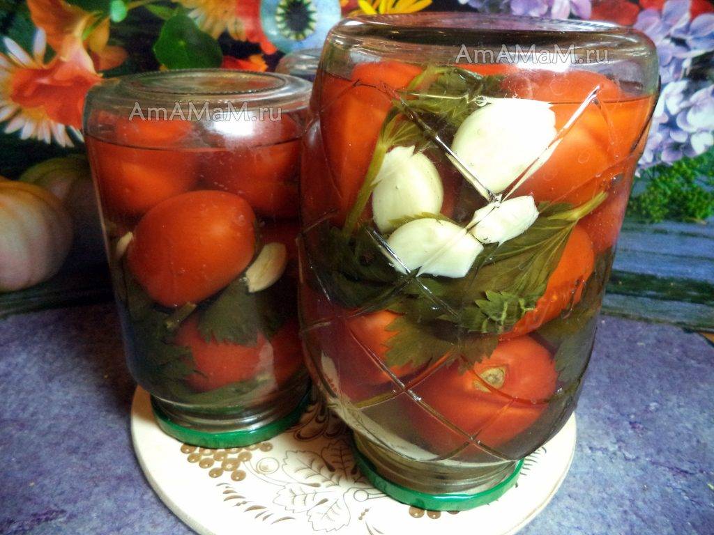Помидоры на зиму: 6 вкусных рецептов заготовки помидоров