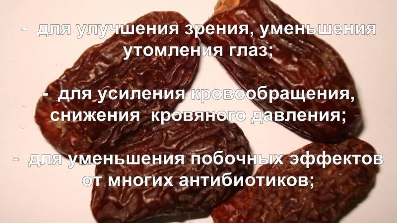 Сушеные финики — знаменитые плоды с тысячелетней историей