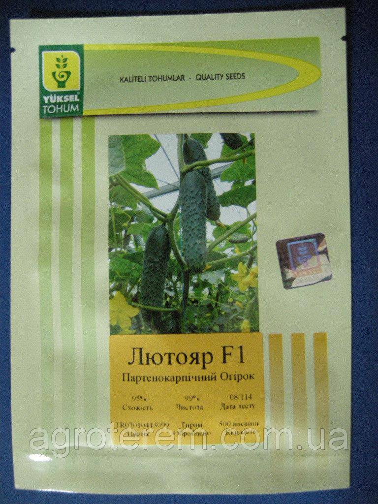 Огурцы лютояр f1: описание сорта и технология выращивания, отзывы и фотографии, посадка и выращивание