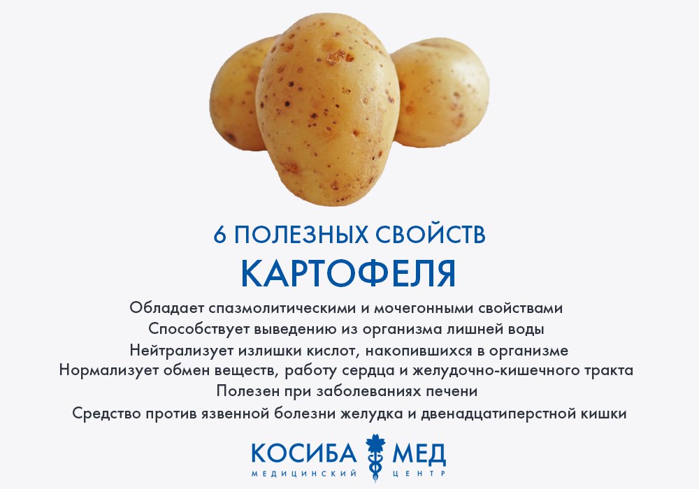 Жареный, вареный, запеченый картофель: польза и вред для здоровья, факты, исследования