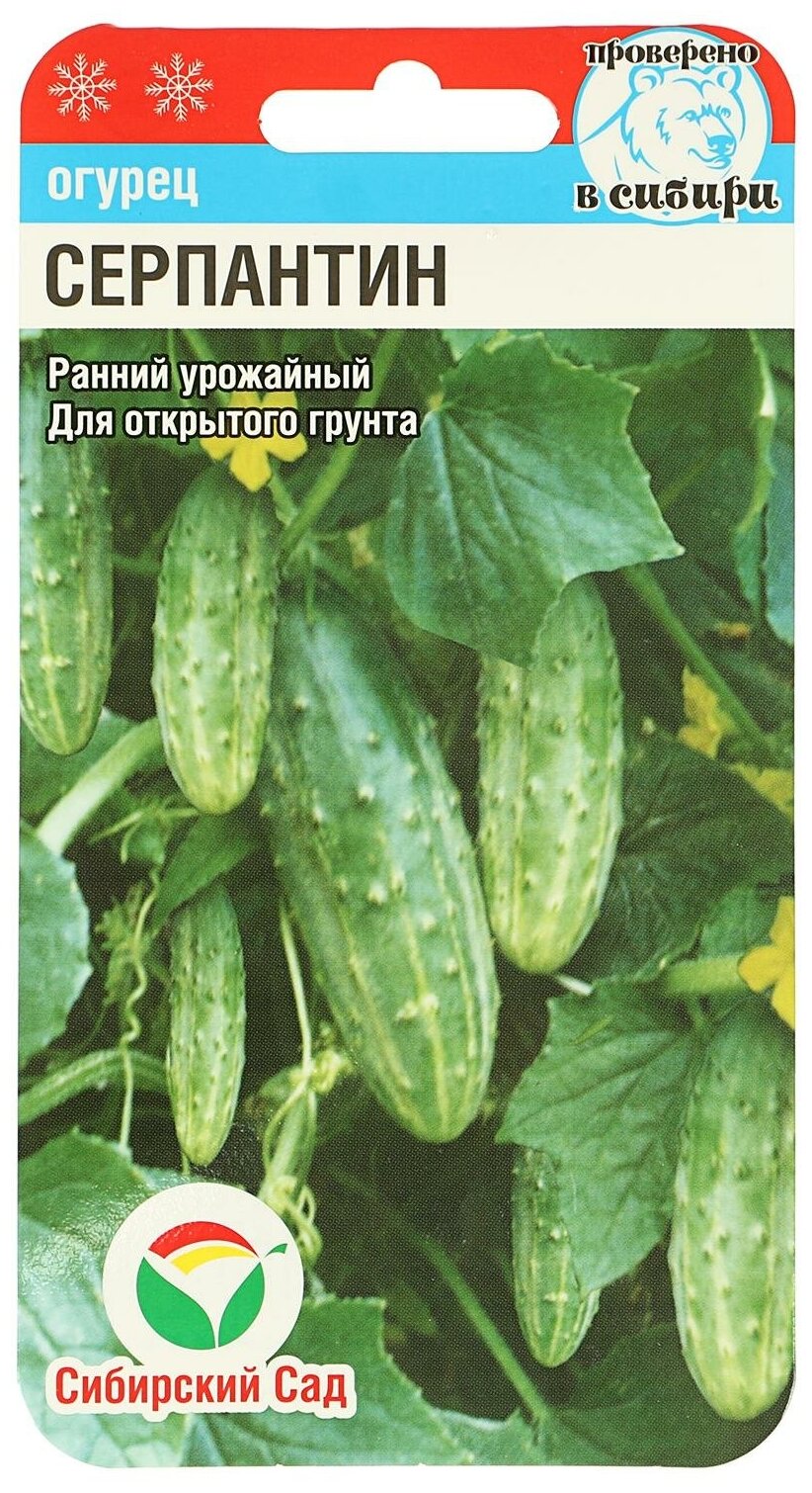 Огурец серпантин: описание и характеристика сорта, выращивание с фото