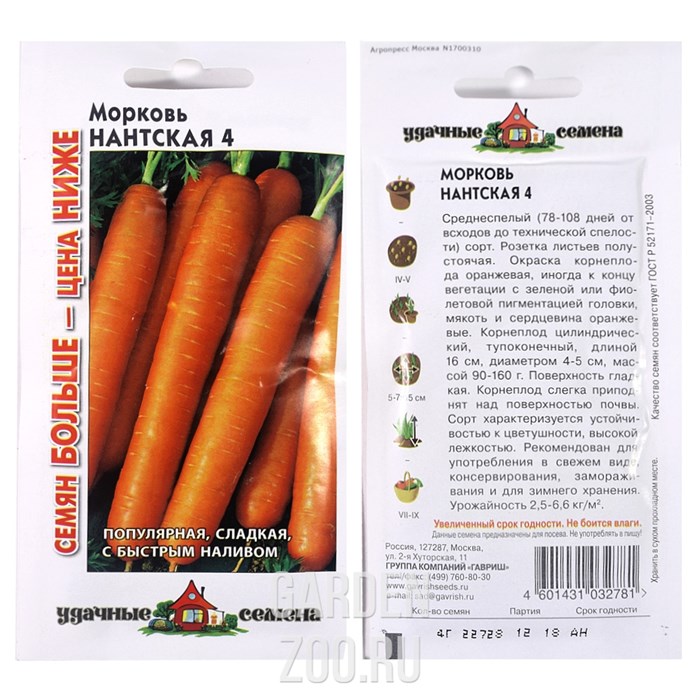 Морковь нантская 4: характеристика и описание сорта, срок созревания, фото растения и корнеплодов, как посадить овощ и собрать урожай