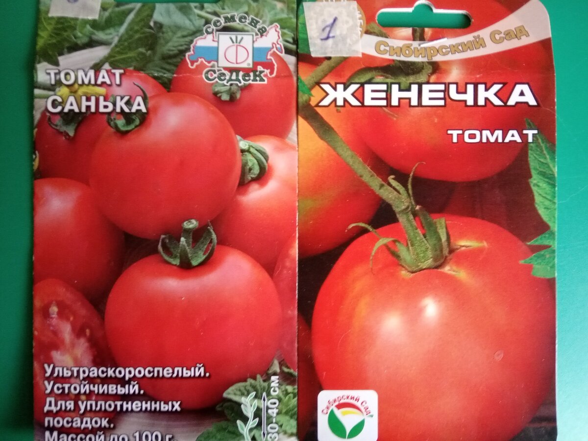 Томат татьяна: фото сорта помидоров, отзывы огородников и пошаговая инструкция по его выращиванию