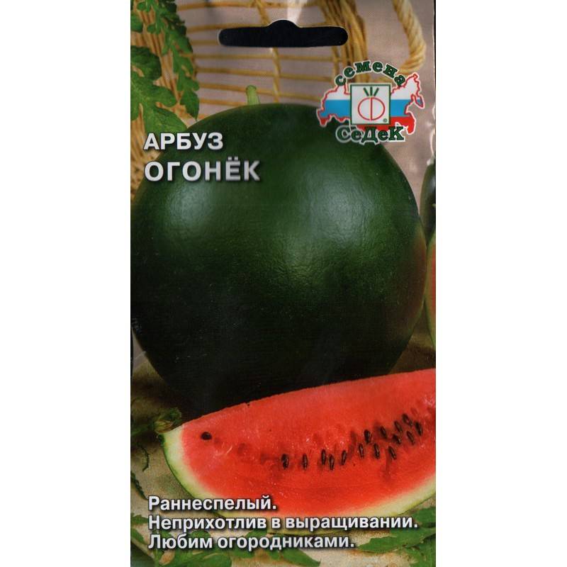 Арбуз "огонек": описание сорта, выращивание, отзывы