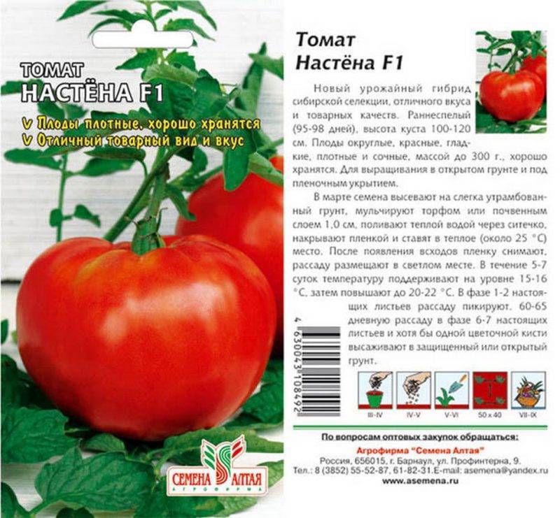 Безрассадный томат: семена прямо в грунт