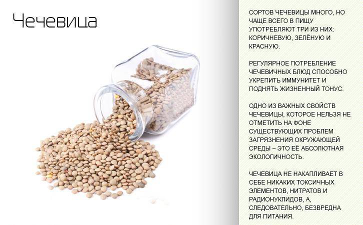 Чечевица польза и вред: рецепты приготовления для здоровья