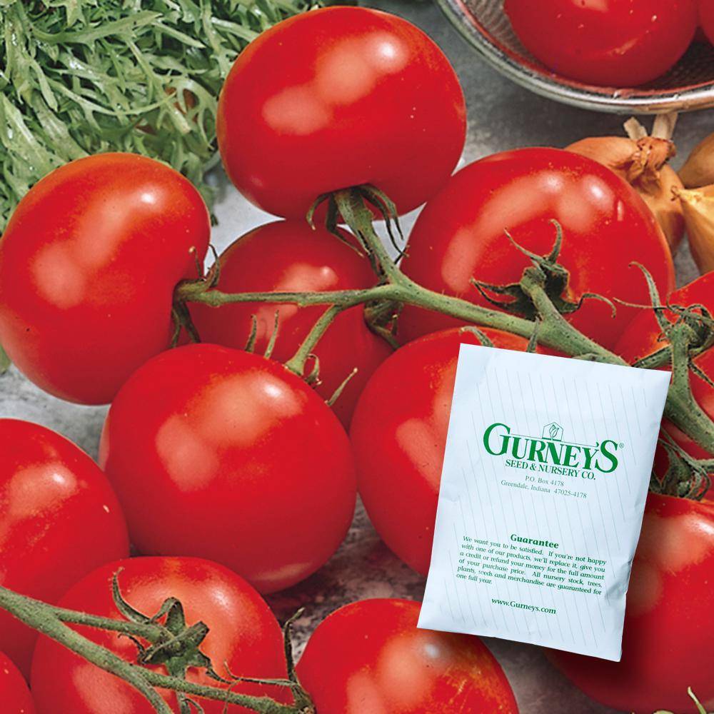 Томат мона лиза характеристика и описание сорта