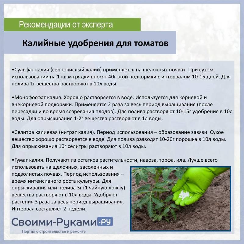 Дрожжевая подкормка для растений: рецепт приготовления - goodogorod.ru