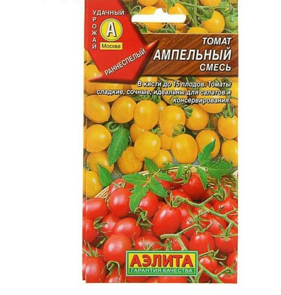 Топ-12 лучших сортов ампельных томатов