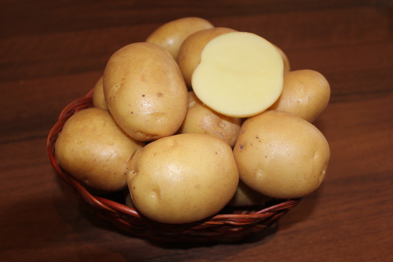 желтая картошка сорта фото