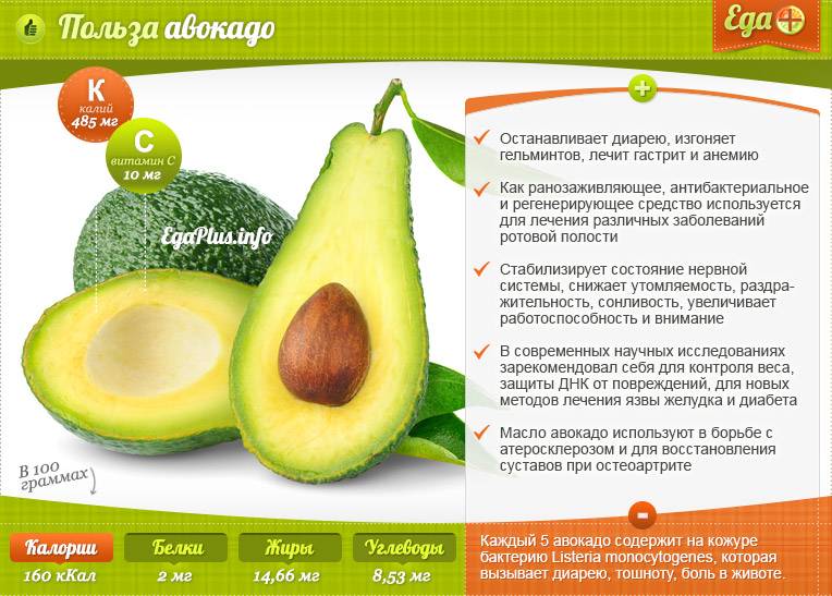 Польза авокадо для женщин: состав, способы использования, противопоказания
