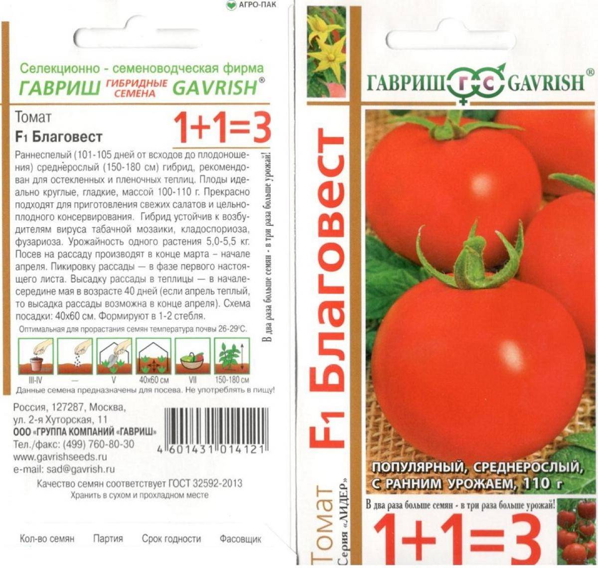 Томат благовест f1: описание гибрида, отзывы и фото урожая, выращивание, посадка и уход, урожайность сорта