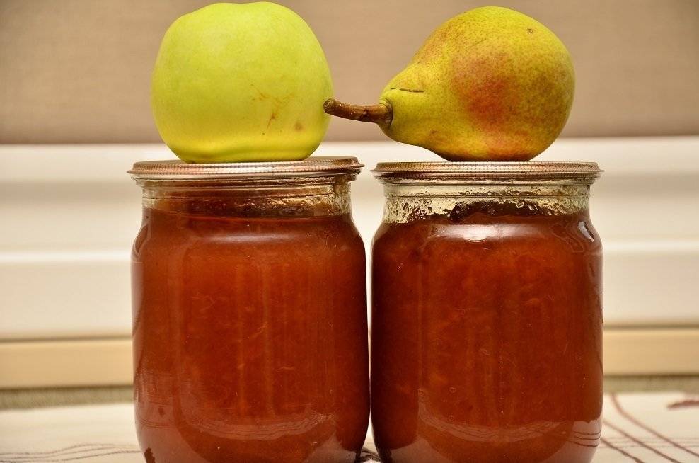 9 лучших рецептов приготовления повидла из яблок и груш на зиму