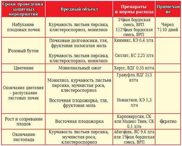 Схема опрыскивания персика