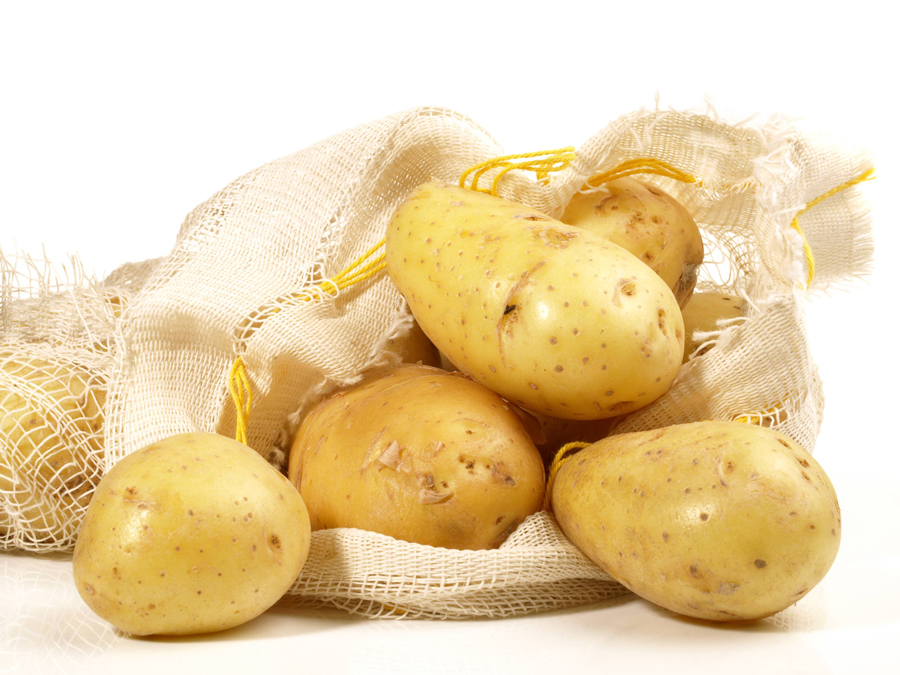 Картофель зекура: описание сорта, фото,характеристика, отзывы