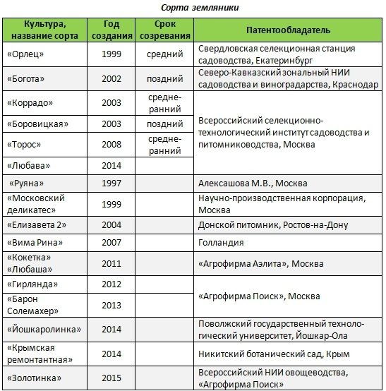 Топ-30 лучших сортов клубники для средней полосы россии