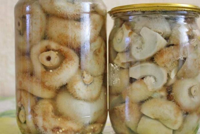 Как солить грибы: белянки правильно, на зиму, рецепт в стеклянных банках, готовить холодным способом, горячим, с капустой