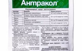 Фунгицид Антракол: инструкция по применению и состав, норма расхода